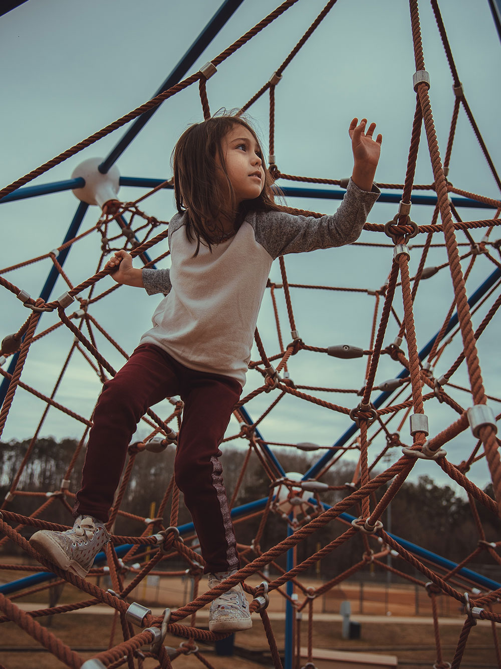 Playground jungle gyms