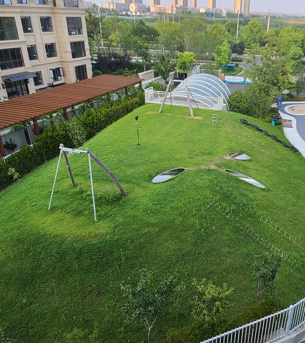 School Playground Equipment